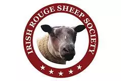 irish-rouge-sheep-society cropped