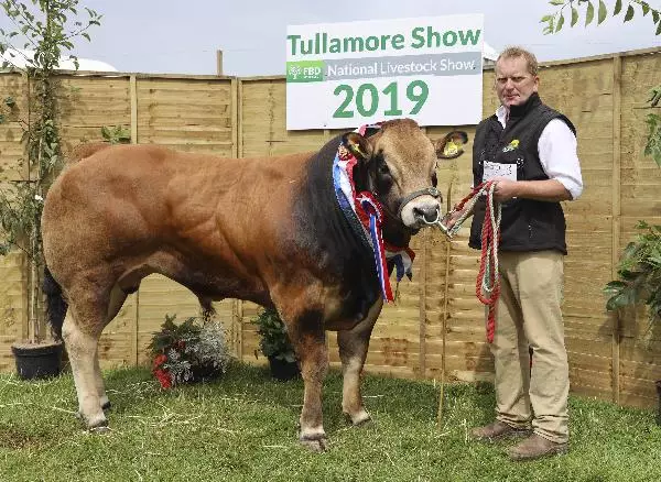 tullamore-show-winners-2019-26